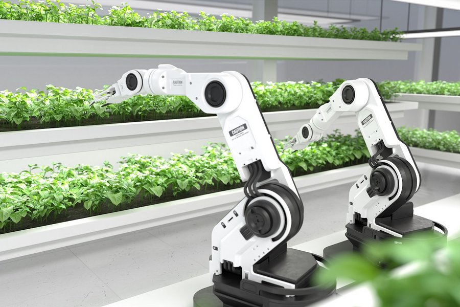 IFB steigt ab November auf 20 Prozent – Investitionen gut planen